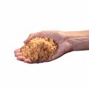 Host dry carpet cleaning - Host sponges