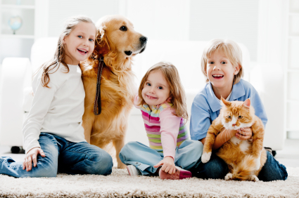 carpet cleaning for pets
