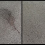 No spots return with our carpet cleaning methods
