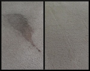 No spots return with our carpet cleaning methods