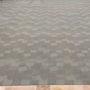 carpet cleaning before and after - AFTER - Petaluma Business Center-Entry