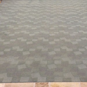 carpet cleaning before and after - AFTER - Petaluma Business Center-Entry