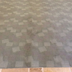 carpet cleaning before and after - BEFORE - Petaluma Business Center-Entry