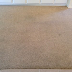 carpet saved 2