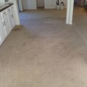 carpet stained 1