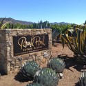 cleaning sisal carpet - Round Pond Estate Winery in Rutherford - Napa Valley CA