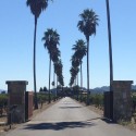 cleaning sisal carpet - Round Pond Estate Winery in Rutherford - Napa Valley CA