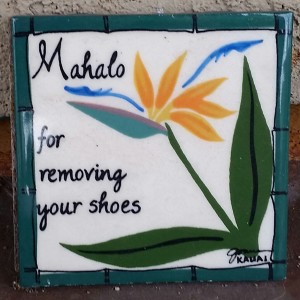 Take you shoes off mahalo