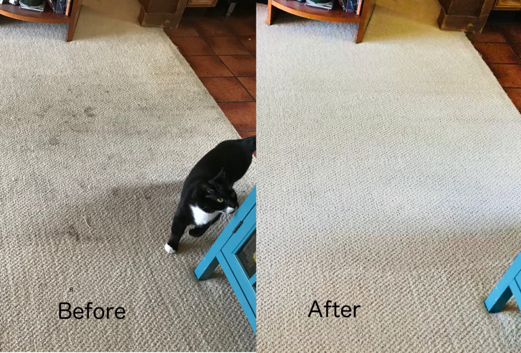 Before and After Carpet Cleaning 