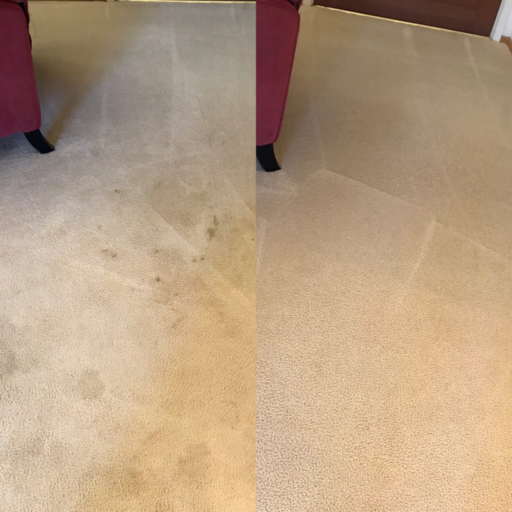 carpet cleaning Petaluma before and after