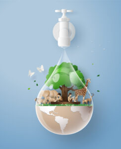 save water with carpet cleaning