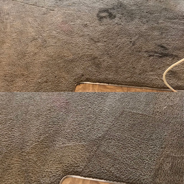 Before and After carpet restoration