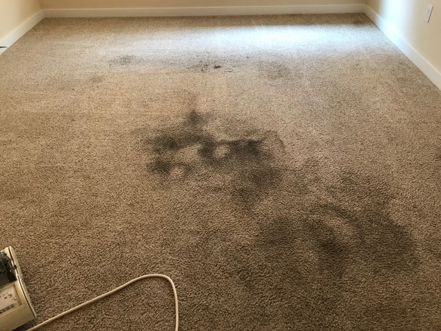 Can you clean this carpet? 