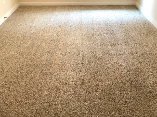 Restored carpet. Deep cleaning carpet