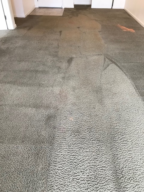 We're attempting to restore this carpet. 